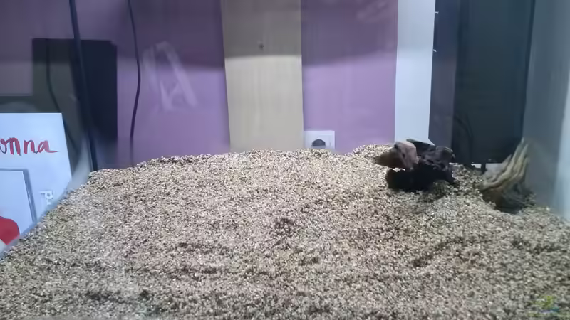 Aquarium Juwel Lido 200 weiss Fx von FleXx0 (4)