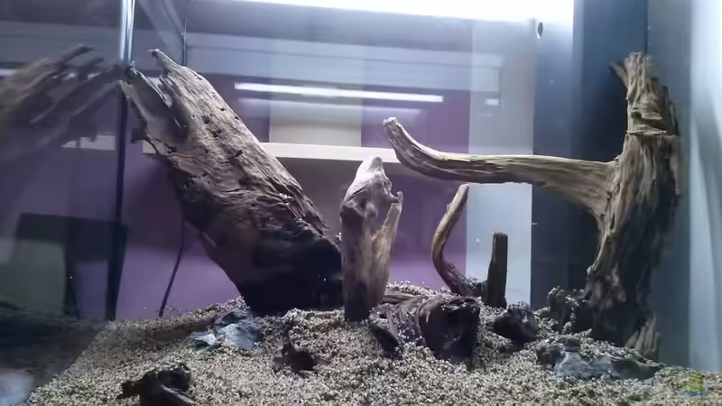 Aquarium Juwel Lido 200 weiss Fx von FleXx0 (9)