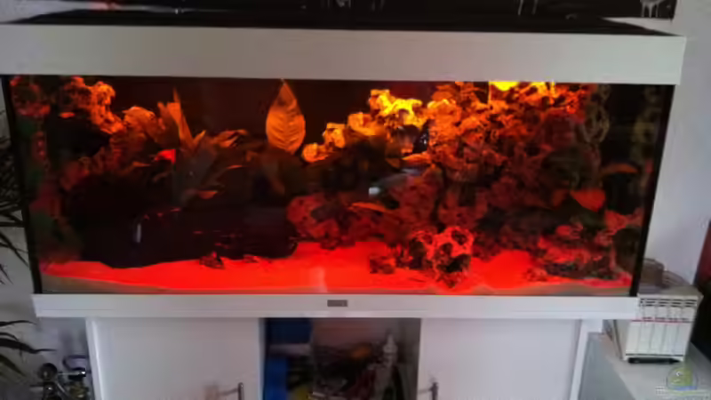 Aquarium Juwel Rio 240 von Down Face (14)