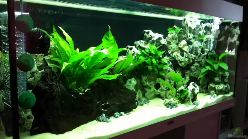 Aquarium Juwel Rio 240 von Down Face (3)