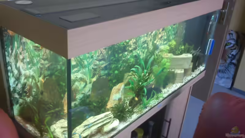 Aquarium Juwel Rio 240 von Martin Rüdiger (2)