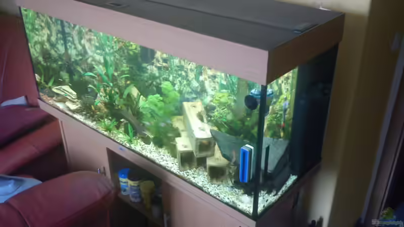 Aquarium Juwel Rio 240 von Martin Rüdiger (3)