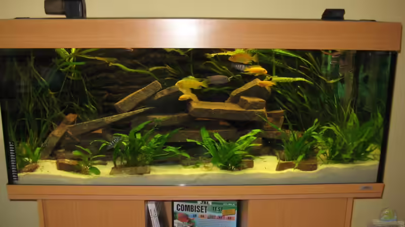 Aquarium Juwel Rio 240 von SuperReal (5)