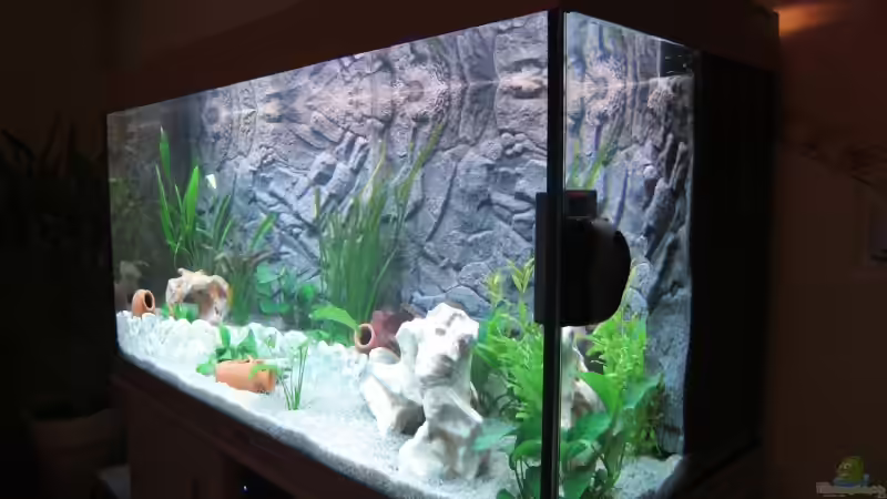 Aquarium Juwel Rio 300 von weindl1987 (2)