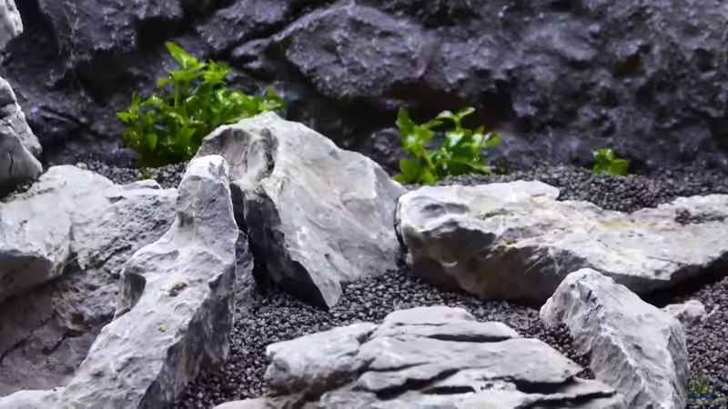 Aquarium Juwel Rio 350 LED Schritt für Schritt von Achim von AchimSaar (33)