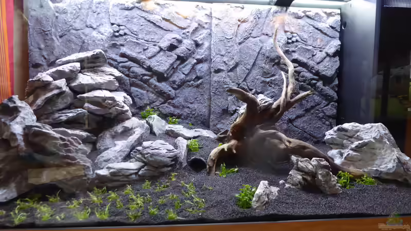 Aquarium Juwel Rio 350 LED Schritt für Schritt von Achim von AchimSaar (34)