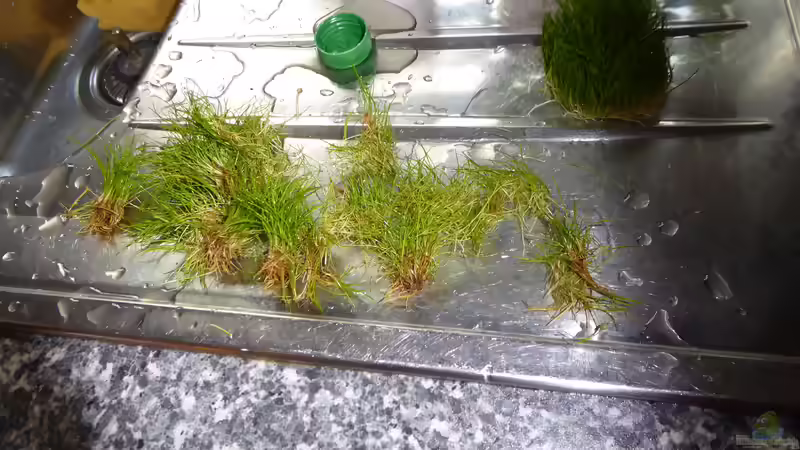 Aquarium Juwel Rio 350 LED Schritt für Schritt von Achim von AchimSaar (35)