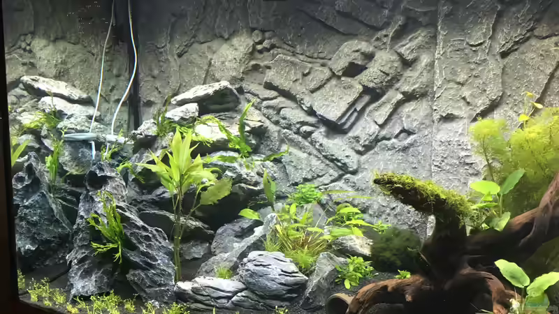 Aquarium Juwel Rio 350 LED Schritt für Schritt von Achim von AchimSaar (48)