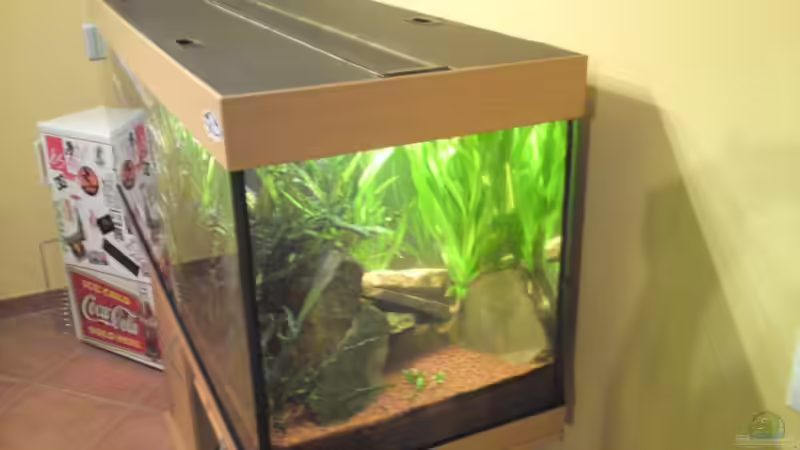 Aquarium Juwel Rio 400 von Florian Förster (3)
