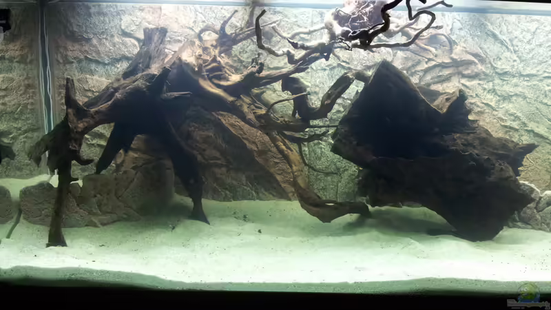 Aquarium Juwel Rio 400 von Hans Lonzeck (10)