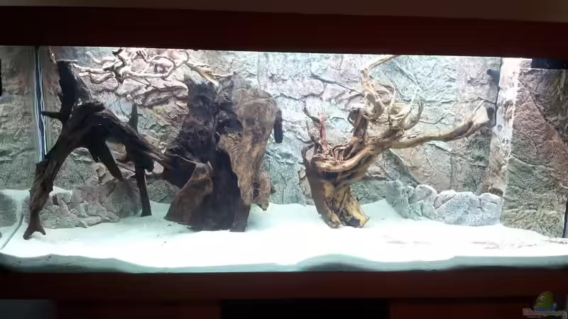 Aquarium Juwel Rio 400 von Hans Lonzeck (7)