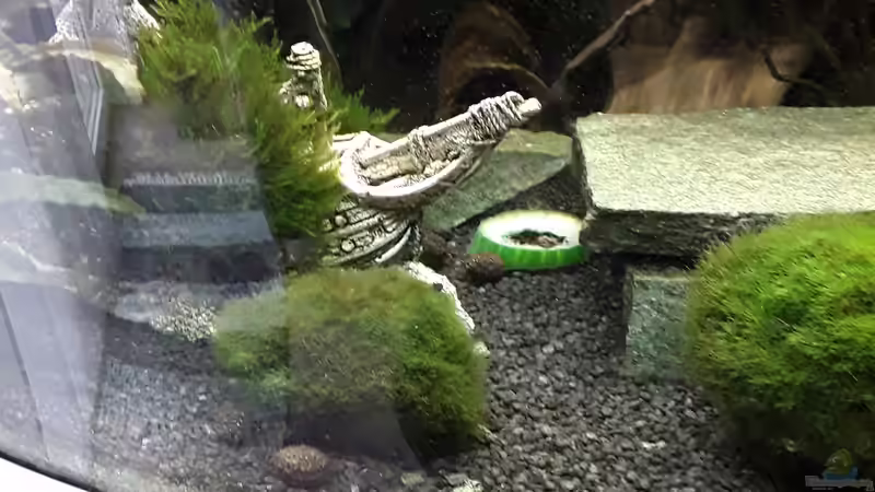 Aquarium Juwel Trigon 190 LED SBX white von Kulle (3)