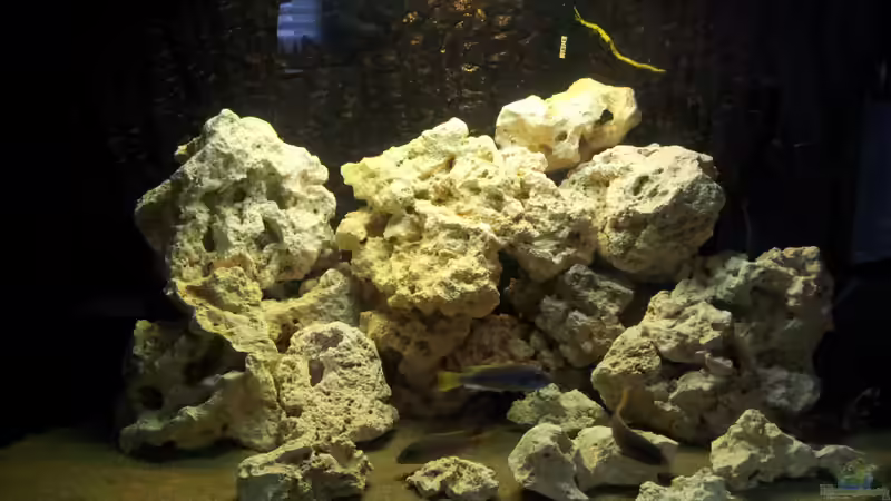Aquarium Juwel Trigon 350 Eck Aq von ibozkurt (2)