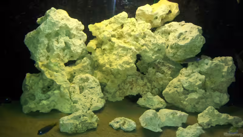 Aquarium Juwel Trigon 350 Eck Aq von ibozkurt (4)