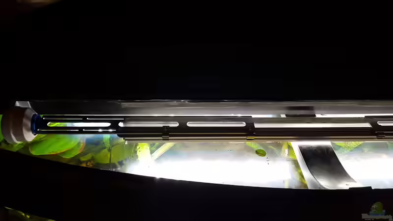 Aquarium Juwel Vision 180 Southamerica Fever von painless Tdb-music (6)