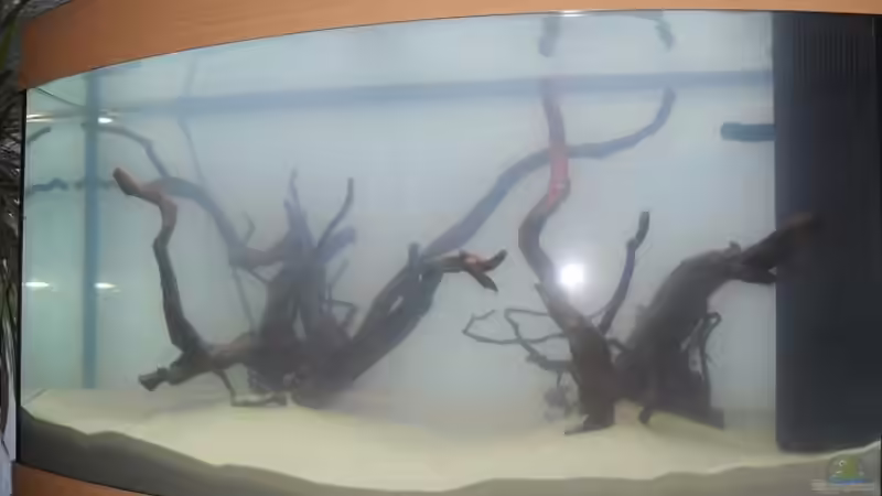 Aquarium Juwel Vision 180 von crazy68 (2)