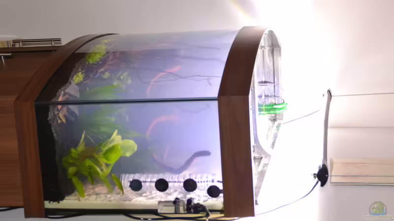 Aquarium Juwel Vision 260 von Michaela (2)