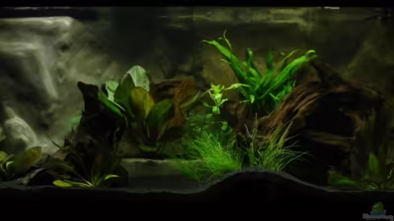 Aquarium Kakadus Park Nur noch als Beispiel von Alfur (3)