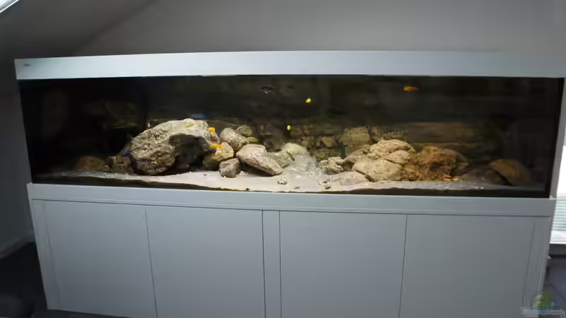 Aquarium Kaskazini´s Tank von dagloa (2)