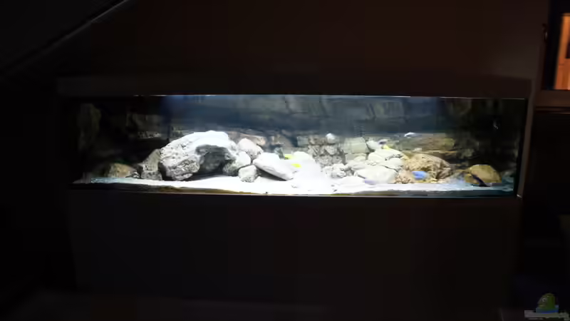 Aquarium Kaskazini´s Tank von dagloa (3)