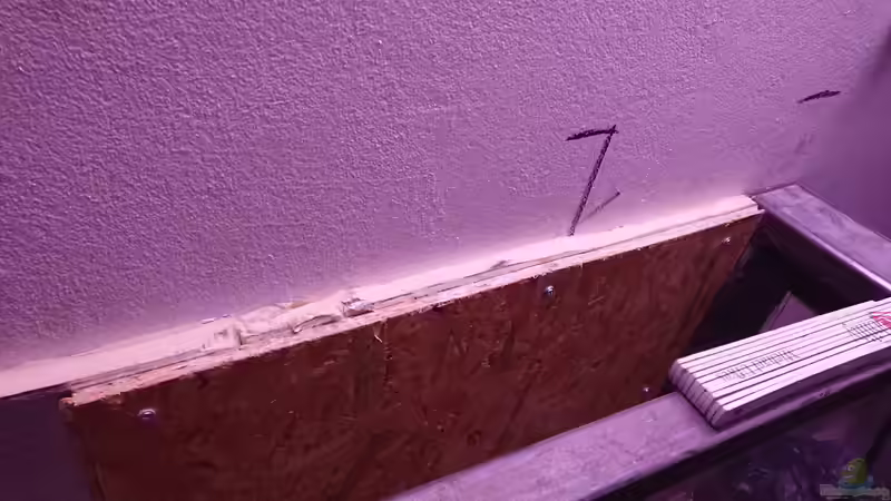 Aquarium Kellerpfütze von kellerkind (17)