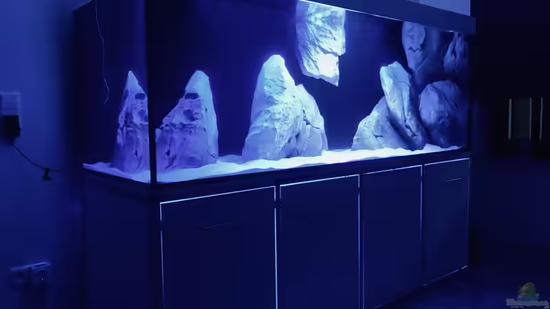 Aquarium Kellertank von P4TR1CK (7)