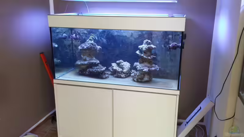 Aquarium Kevin's Riff von Kevin78 (2)