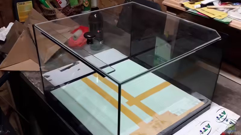 Aquarium Kinderstube Corydoras panda (Nurnoch als Beispiel) von Fichte (2)