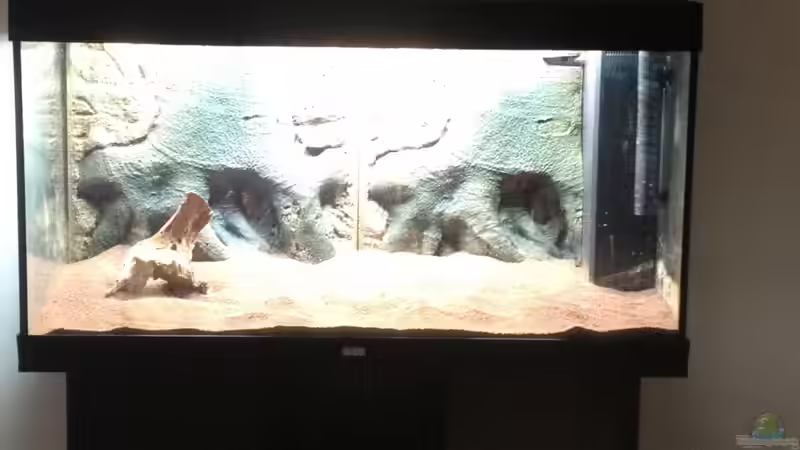 Aquarium Klassisches Gesellschaftsaquarium von Hage81 (2)