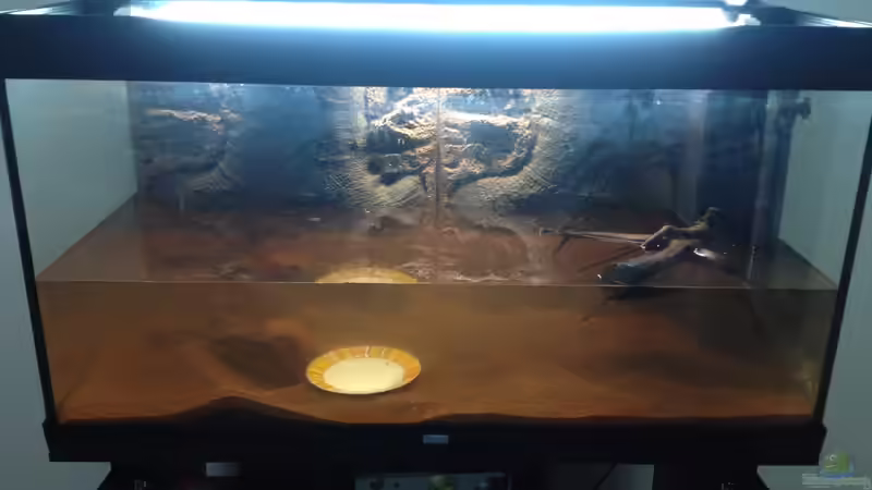 Aquarium Klassisches Gesellschaftsaquarium von Hage81 (3)