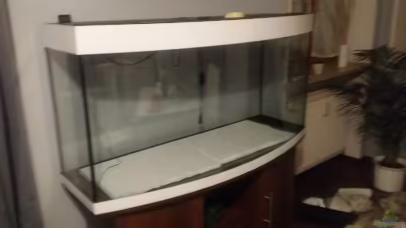 Aquarium Kleine Malawi Welt von Marcus Meyer (2)