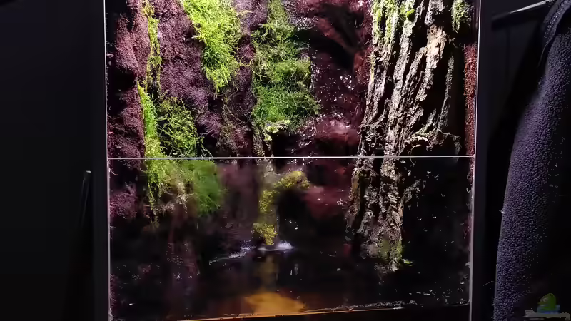 Aquarium Kleine Schlucht von Stephi (15)