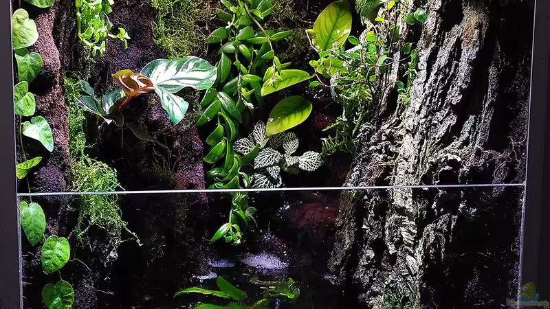 Aquarium Kleine Schlucht von Stephi (3)