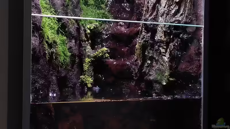Aquarium Kleine Schlucht von Stephi (8)