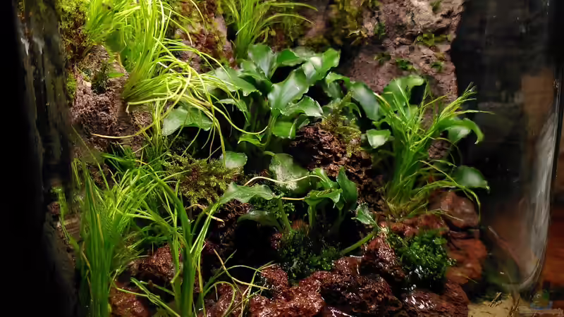 Aquarium Kleine Welt von Stephi (2)