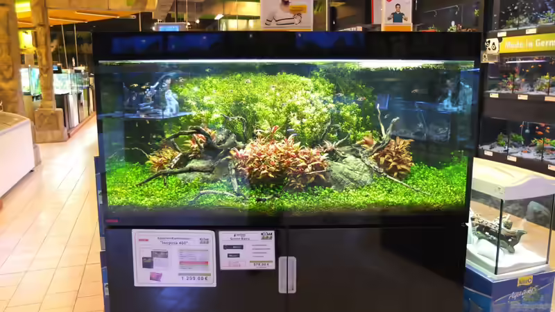 Aquarium Kölle Zoo von Koelle-Zoo (2)