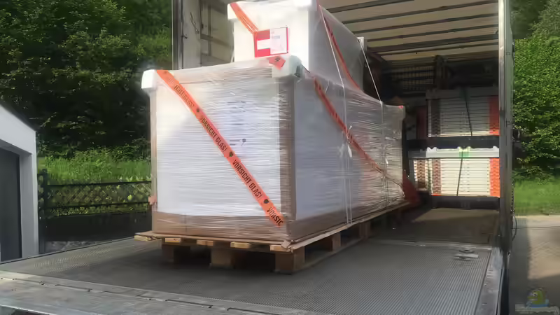 Aquarium kommt an von Benjamin Schmider (5)