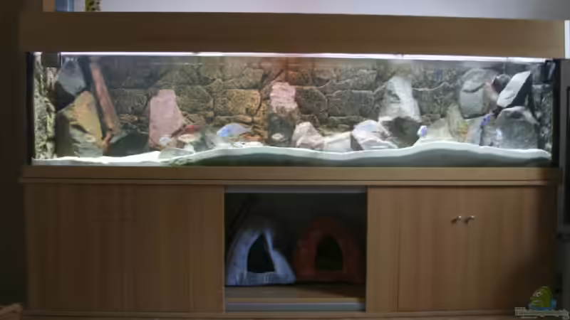 Aquarium komplett von Applehorsti (1)