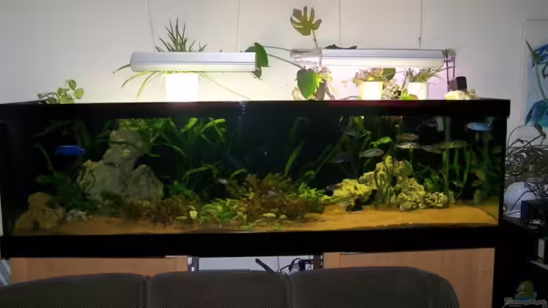 Aquarium Koplett (alt) von Klabuster (1)