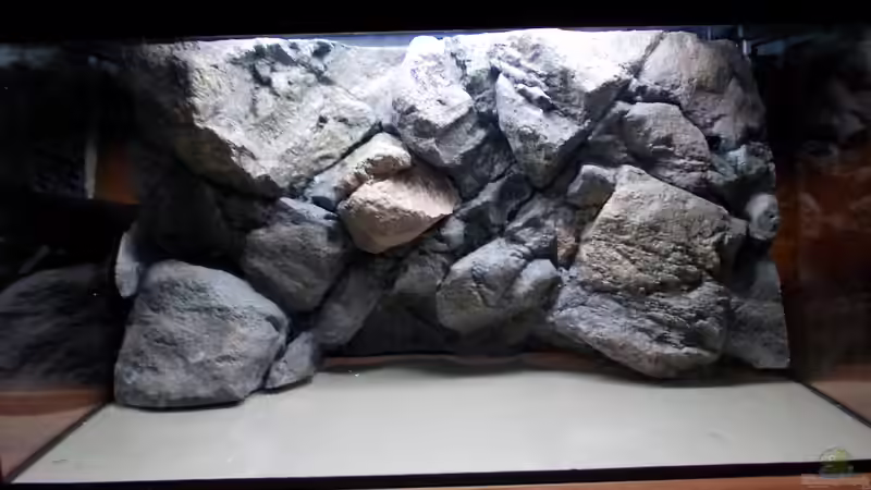 Aquarium Kuchimba kibushuti verkauft von Koehler (3)