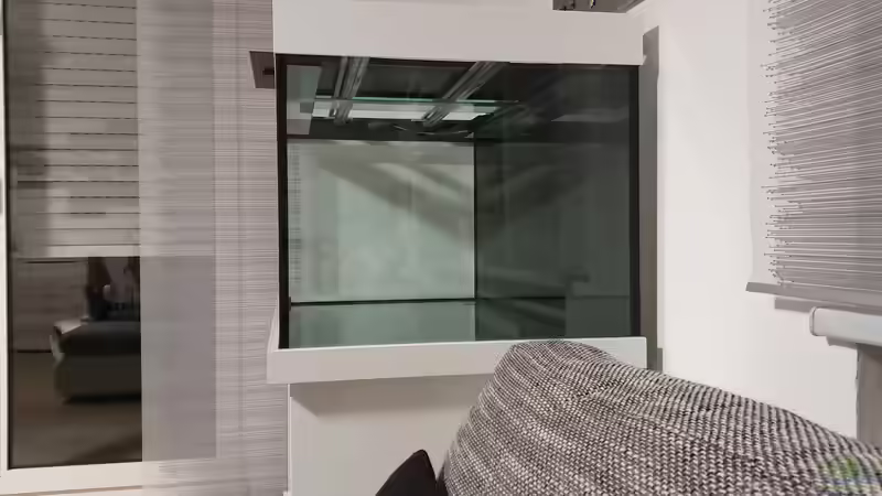 Aquarium Kugelfisch Brackwasser von Benkolo (2)