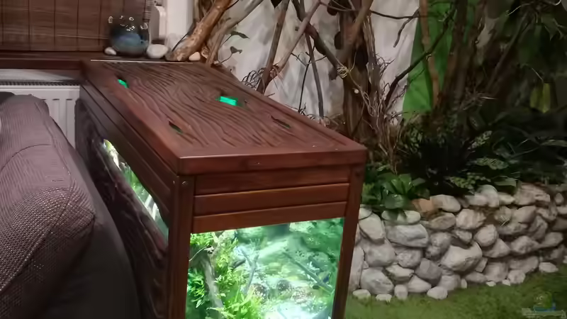 Aquarium Kugelfisch-Oase von Bermuda 3eck (6)