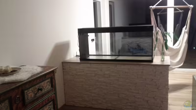 Aquarium kurz nach dem Aufstellen (30.03.2014) von Plastikblume (10)