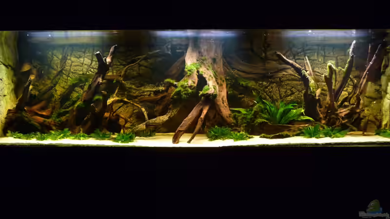 Aquarium Lago Pampo (aufgelöst) von carkl (5)