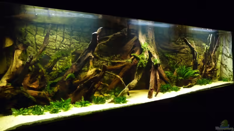 Aquarium Lago Pampo (aufgelöst) von carkl (7)