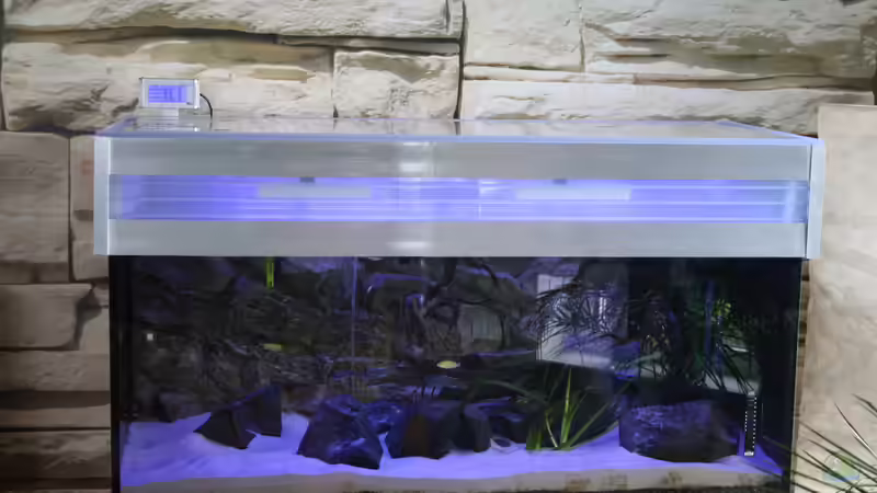 Aquarium Lake Malawi 2.0 von skipper1202 (5)