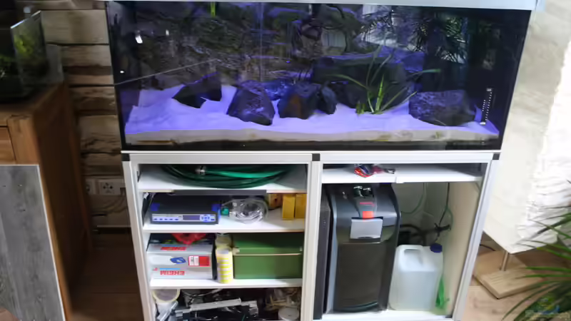 Aquarium Lake Malawi 2.0 von skipper1202 (6)