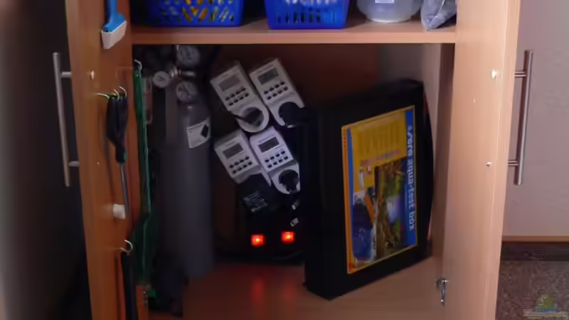 Aquarium Lars` Becken von Lars T. (3)