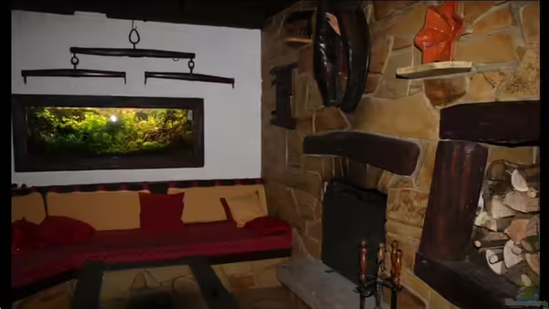 Aquarium Lavadschungel von brimar67 (17)