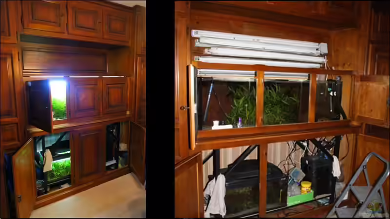 Aquarium Lavadschungel von brimar67 (18)